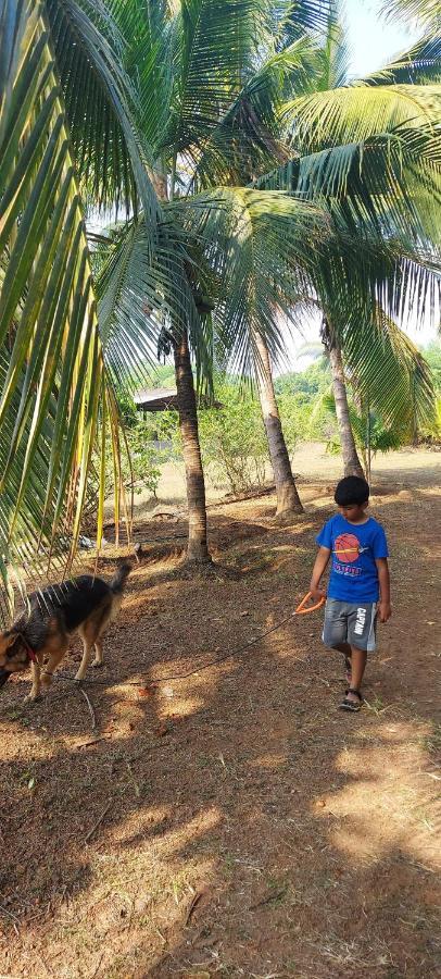 Sneha Farm House Kudal  Exterior photo