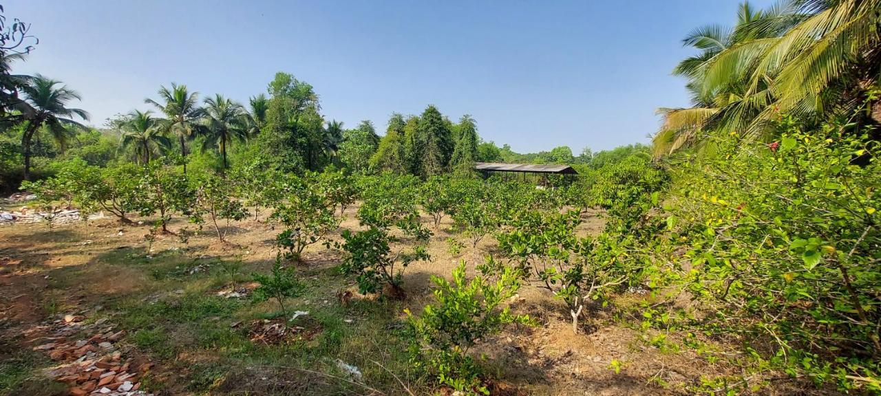 Sneha Farm House Kudal  Exterior photo