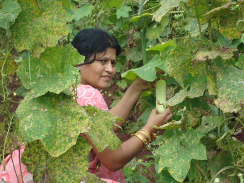 Sneha Farm House Kudal  Exterior photo